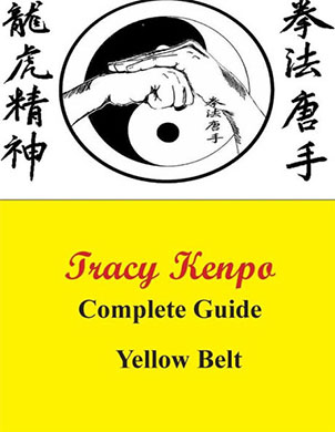 Tracy Kenpo Complete Guide to Yellow Belt